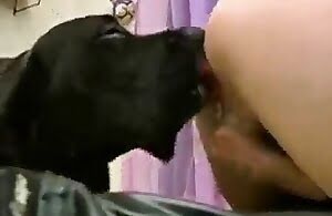 Redhead deepthroats một con chó tình dục tinh ranh